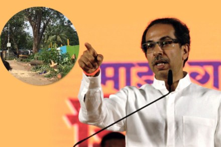 आरे कारशेडला स्थगिती, मुख्यमंत्री उद्धव ठाकरे यांची मोठी घोषणा