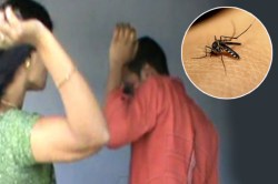 फेसबुकने Delete केले 5.4 अब्ज अकाउंट, कारण…