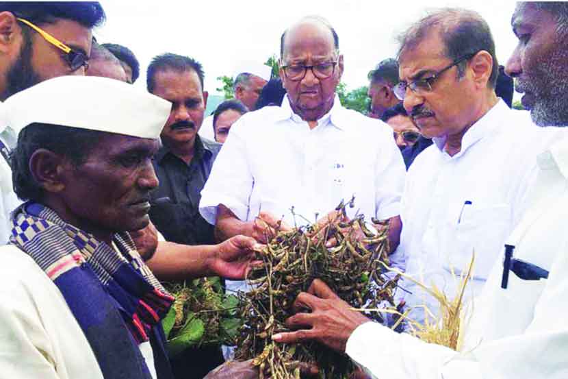 शिवसेनेकडून अधिकृत प्रस्ताव आलेला नाही : शरद पवार शिवसेनेकडून अधिकृत प्रस्ताव आलेला नाही : शरद पवार