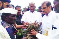 शिवसेनेकडून अधिकृत प्रस्ताव आलेला नाही : शरद पवार