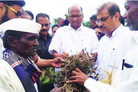 शिवसेनेकडून अधिकृत प्रस्ताव आलेला नाही : शरद पवार शिवसेनेकडून अधिकृत प्रस्ताव आलेला नाही : शरद पवार