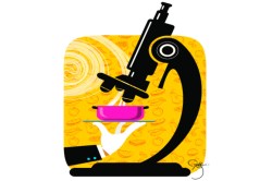 खाद्य विज्ञान, तंत्रज्ञान आणि सुरक्षा