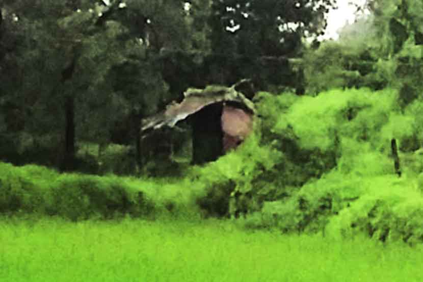 (संग्रहित छायाचित्र)