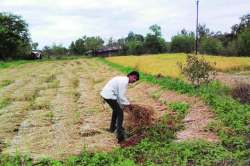 तीन लाखांहून अधिक हेक्टरचे नुकसान