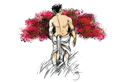 गवाक्ष : गुलमोहर