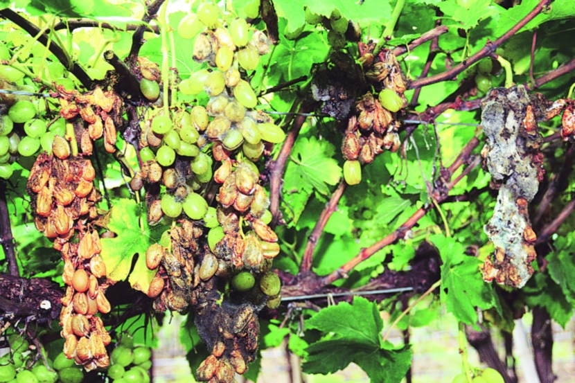 (संग्रहित छायाचित्र)