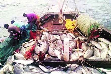 (संग्रहित छायाचित्र) (संग्रहित छायाचित्र)