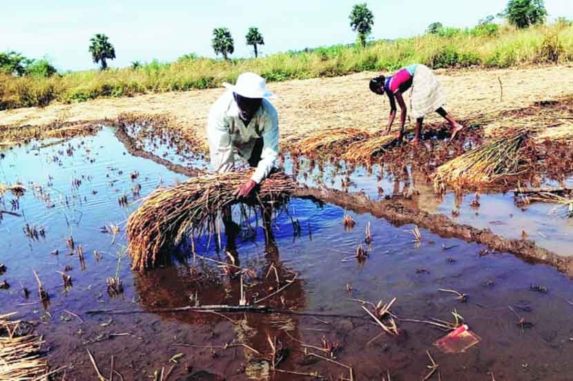 (संग्रहित छायाचित्र) (संग्रहित छायाचित्र)
