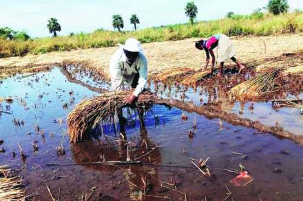 (संग्रहित छायाचित्र) (संग्रहित छायाचित्र)
