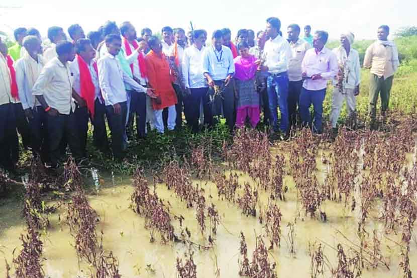 परभणी तालुक्यातील पिके पाण्याखाली असून शनिवारी आमदार डॉ. राहुल पाटील, तहसीलदार विद्याचरण कडवकर यांनी  शेतकऱ्यांशी संवाद साधला.
