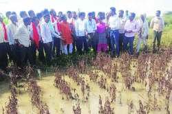 मराठवाडय़ात सारे नेते बांधावर!