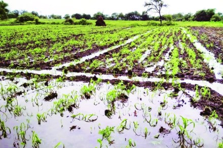 (संग्रहित छायाचित्र)