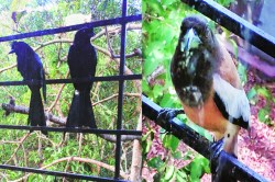 मंतरलेली वास्तू 