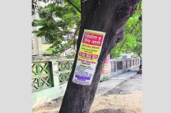 झाडांवर खिळे ठोकून जाहिरातबाजी