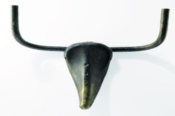 मेंदूशी मैत्री : दृष्टी