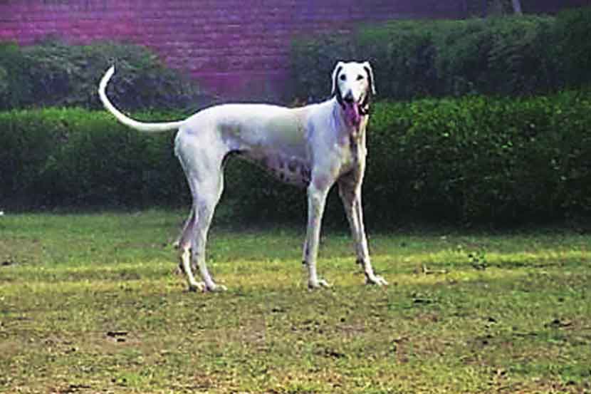 (संग्रहित छायाचित्र)