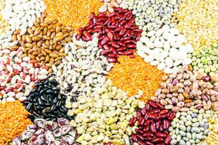 (संग्रहित छायाचित्र) (संग्रहित छायाचित्र)