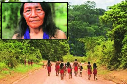 (संग्रहित छायाचित्र) (संग्रहित छायाचित्र)