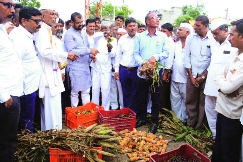 बागलाण तालुक्यात नुकसानग्रस्त पिकांची पाहणी करताना राज्यमंत्री सदाभाऊ खोत. समवेत आ. दिलीप बोरसे आणि शेतकरी. बागलाण तालुक्यात नुकसानग्रस्त पिकांची पाहणी करताना राज्यमंत्री सदाभाऊ खोत. समवेत आ. दिलीप बोरसे आणि शेतकरी.