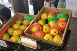 पुणे: कोकणातून नव्हे थेट आफ्रिकेतून आला हापूस, मार्केटयार्डात दाखल