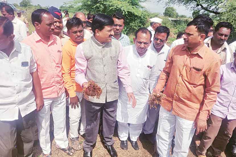 मराठवाडय़ात ३० लाख हेक्टरवरील पिकांचे नुकसान