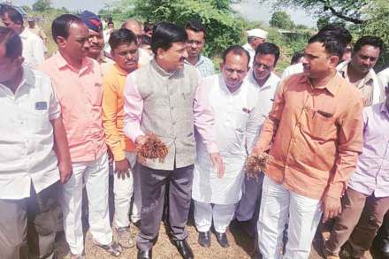 मराठवाडय़ात ३० लाख हेक्टरवरील पिकांचे नुकसान