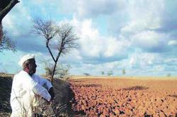 अतिवृष्टीत नुकसान झाले; मात्र दुष्काळी अनुदान रेंगाळलेलेच!