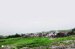 उल्हासनगर कचराभूमीचा मार्ग मोकळा