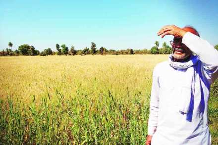 (संग्रहित छायाचित्र) (संग्रहित छायाचित्र)