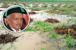 नुकसानग्रस्त शेतकऱ्यांसाठी हेक्टरी ८ हजारांची मदत जाहीर