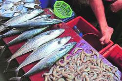 मच्छीमारांना २५ हजारांची नुकसानभरपाई द्या!