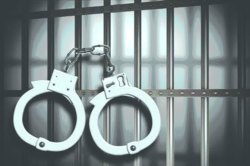 खुनाच्या गुन्ह्य़ातील १४ जणांना मोकाअंतर्गत कोठडी