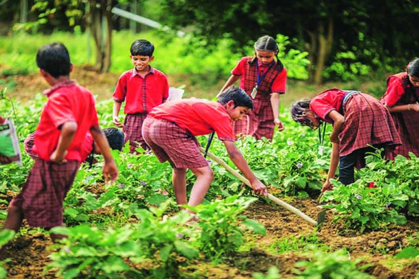 ग्रामोद्धाराचे बिजारोपण