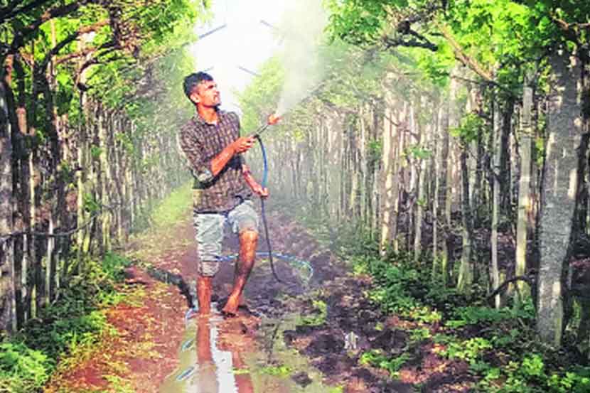 पश्चिम महाराष्ट्रावर तिहेरी संकट!