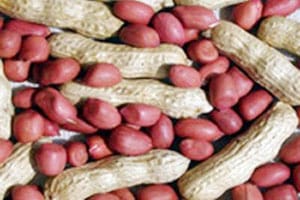 शेंगदाण्याला हिरवा रंग देऊन पिस्ता म्हणून विक्री
