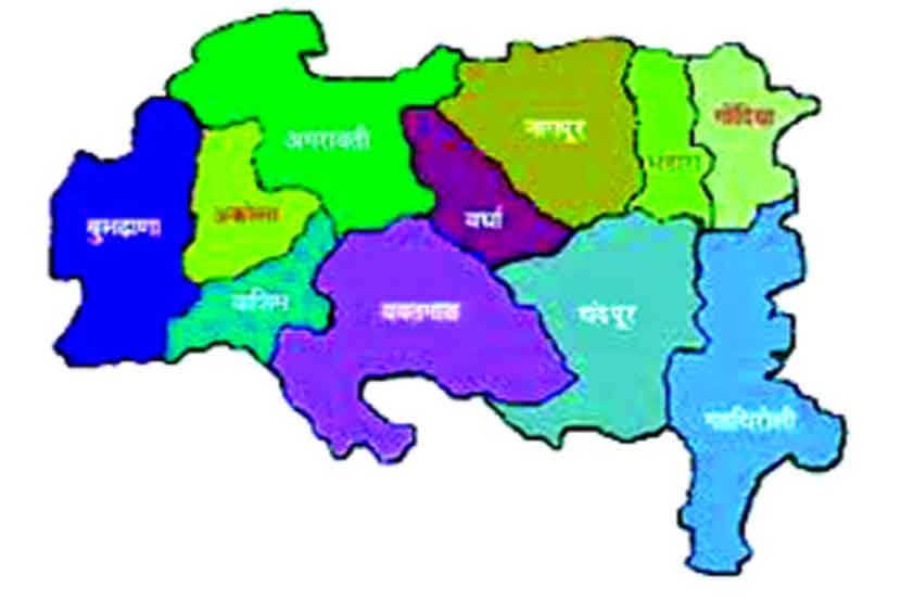 नव्या सरकारमध्येही विदर्भविरोधी अन् समर्थक