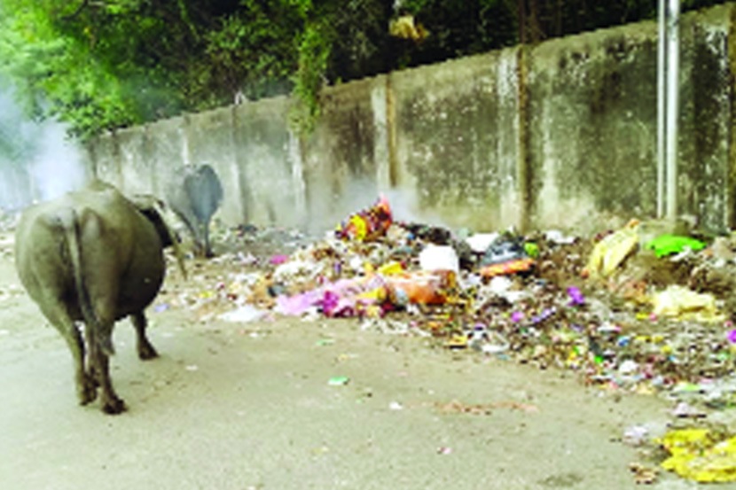 स्वच्छ सर्वेक्षणातील अडचणी वाढल्या स्वच्छ सर्वेक्षणातील अडचणी वाढल्या