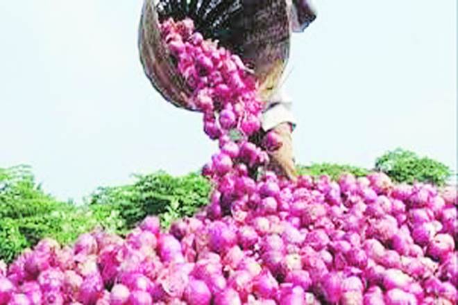 कांदा स्वस्त करण्यासाठी सरकारचा नवा उपाय, साठेबाजांवर आणले काही निर्बंध
