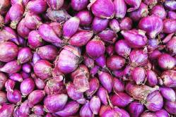 कांद्याची १० हजारी उसळी