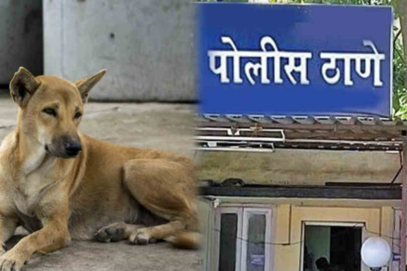 कुत्र्याला घराबाहेर काढलं, मुलीने आईविरोधात नोंदवली पोलीस तक्रार कुत्र्याला घराबाहेर काढलं, मुलीने आईविरोधात नोंदवली पोलीस तक्रार