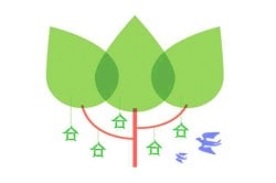 जुलमी मसुदा अखेर मागे!