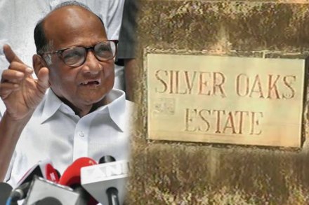 महाराष्ट्राच्या राजकारणाचा केंद्रबिंदू पुन्हा ‘सिल्व्हर ओक’ महाराष्ट्राच्या राजकारणाचा केंद्रबिंदू पुन्हा ‘सिल्व्हर ओक’