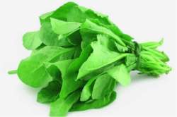 पालक खाण्याचे ‘हे’ फायदे ऐकाल, तर आजपासून आहारात कराल समावेश