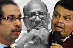 बैलांची झुंज नी महाराष्ट्रातलं राजकारण