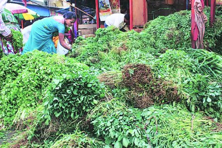 (संग्रहित छायाचित्र) (संग्रहित छायाचित्र)
