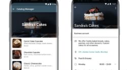 WhatsApp : व्यापाऱ्यांसाठी खास फीचर, ‘प्रोडक्ट कॅटलॉग’ची सुविधा