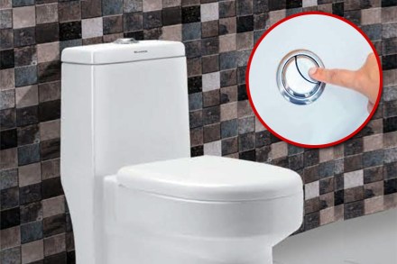 ‘या’ कारणामुळे फ्लशला असतात दोन बटणं!