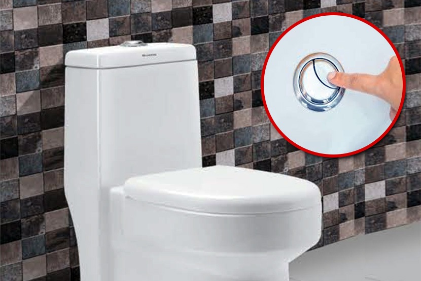 ‘या’ कारणामुळे फ्लशला असतात दोन बटणं! ‘या’ कारणामुळे फ्लशला असतात दोन बटणं!