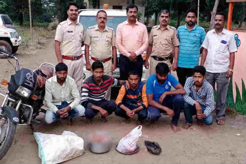 रानडुकराची शिकार केल्याप्रकरणी पाचजण अटकेत