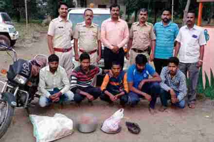 रानडुकराची शिकार केल्याप्रकरणी पाचजण अटकेत